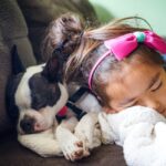 How to Introduce Your Child to Their First Pet Safely